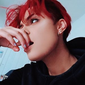 Meet your Posher, Torchy